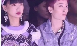 吃瓜娱乐圈内娱,揭秘内娱幕后风云